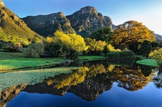 Beautiful Kirstenbosch Gardens. Photography Tours