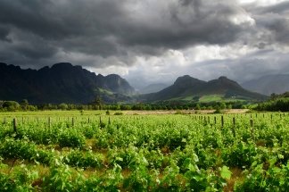 Winelands Full Day Photo Tour. Cape Town Photo Tours 