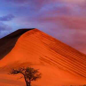 NAMIBIA DREAMSCAPES PHOTO TOUR