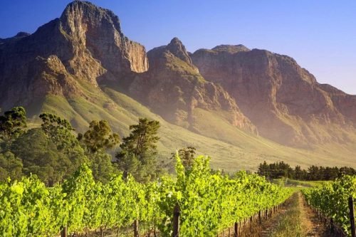 Cape Winelands