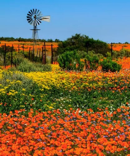 Namaqualand-NP